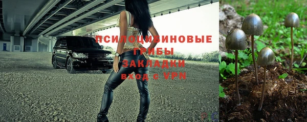молекула духа Алексин