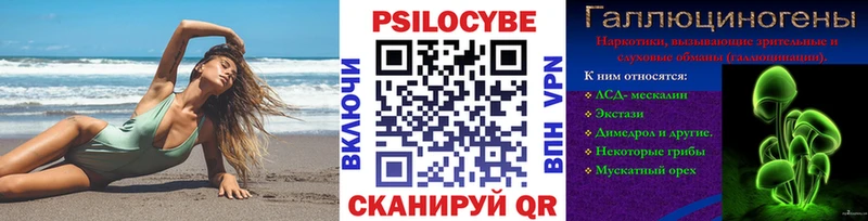 Псилоцибиновые грибы Psilocybe  Яхрома 